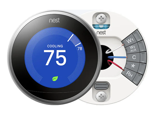 Nest